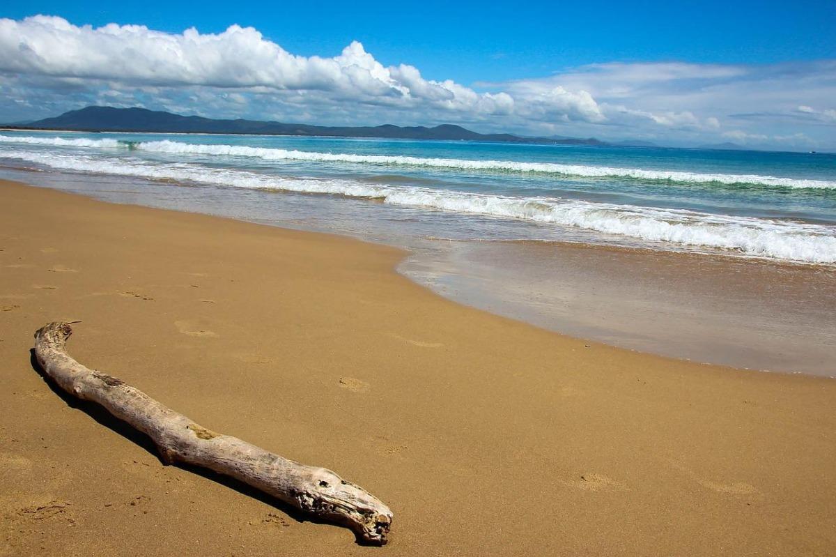 beach-nsw-0CD4CC45-6D9D-4E3C-A9F5260061E23904